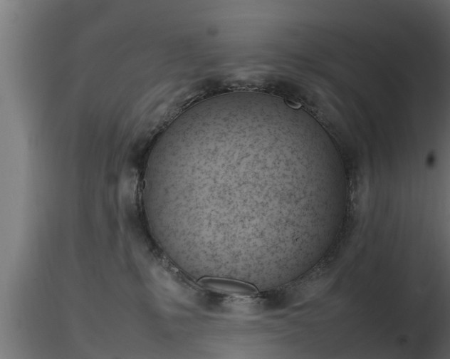 X0000116880231200912291249