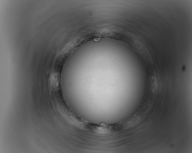 X0000116880232200912291249
