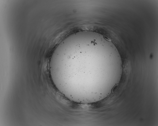 X0000116880233200912291249