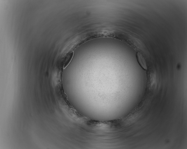 X0000116880236200912291249