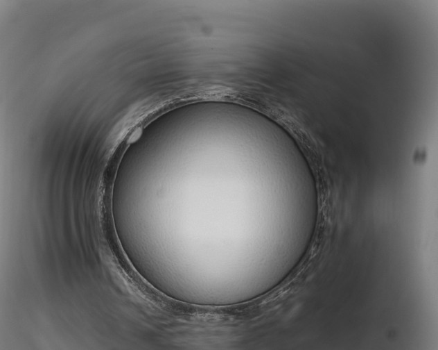 X0000116880242200912291248