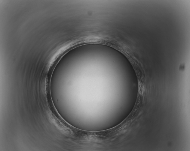 X0000116880244200912291248