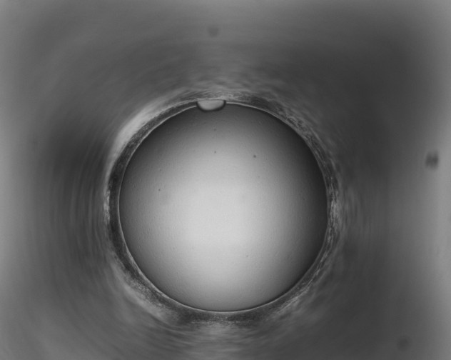 X0000116880246200912291248