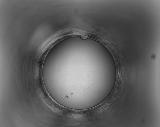 X0000116880247200912291248