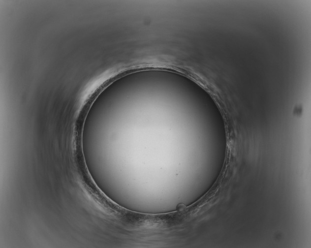 X0000116880248200912291248