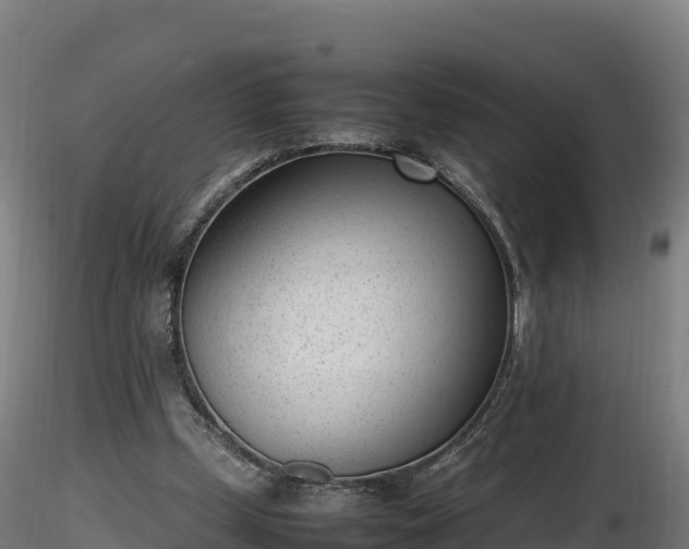 X0000116880249200912291248