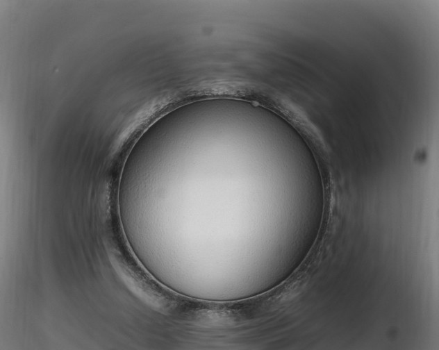 X0000116880250200912291248