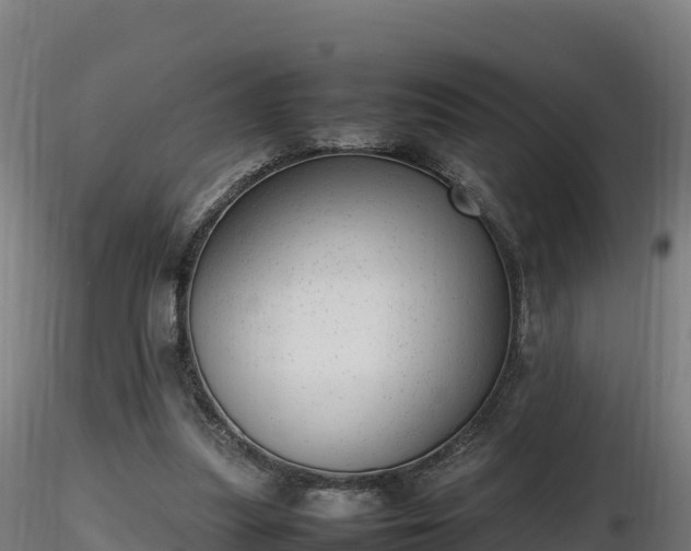 X0000116880251200912291248