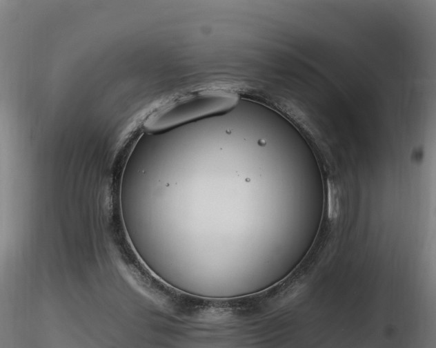 X0000116880252200912291248