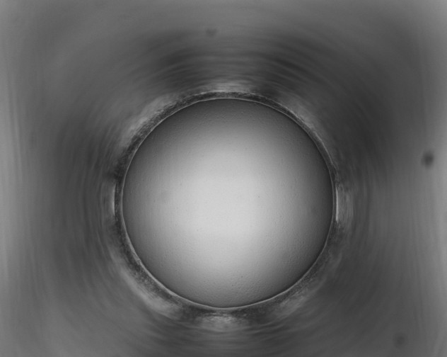 X0000116880253200912291248