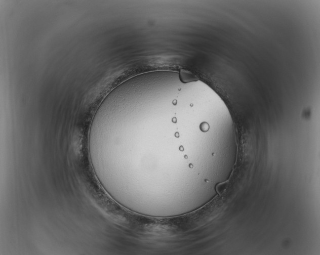X0000116880255200912291248