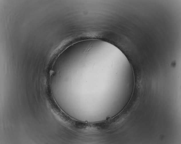 X0000116880256200912291248