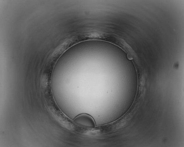 X0000116880257200912291248