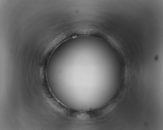 X0000116880258200912291248