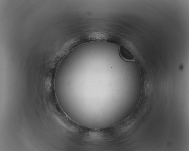 X0000116880259200912291248
