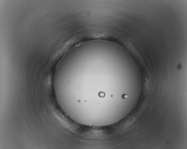 X0000116880260200912291248
