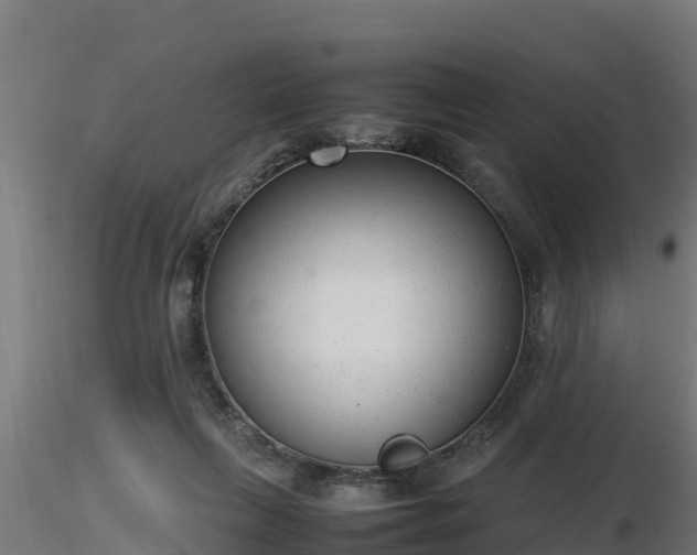 X0000116880263200912291248