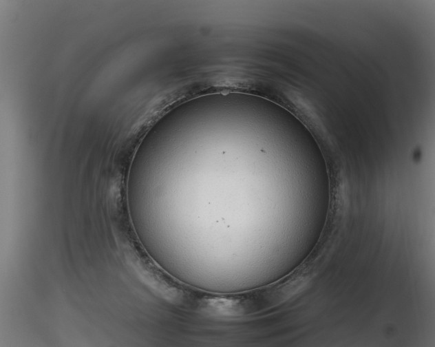 X0000116880265200912291248