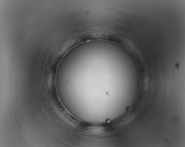 X0000116880266200912291248