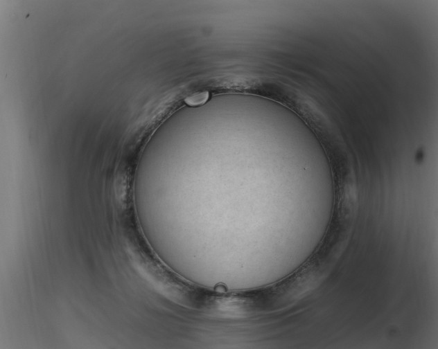 X0000116880268200912291248