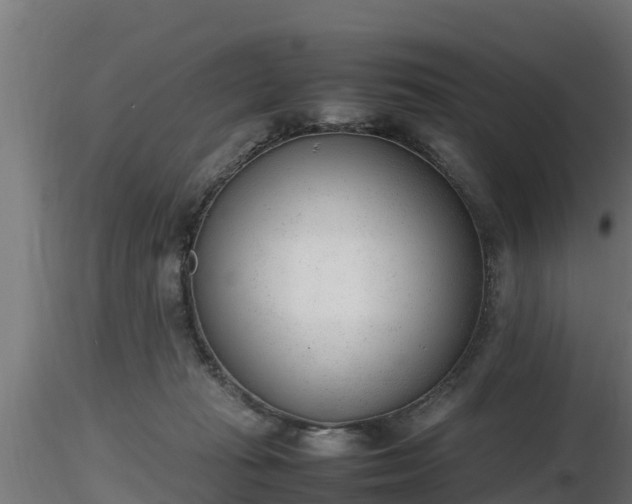 X0000116880269200912291248