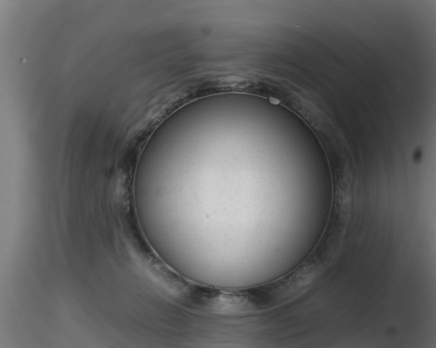X0000116880270200912291248