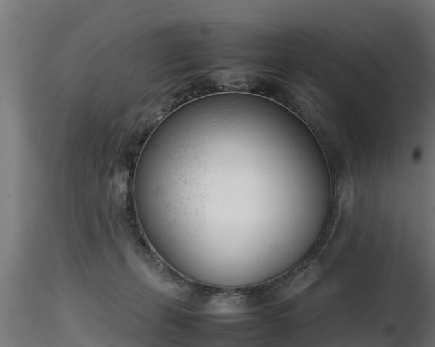 X0000116880271200912291248