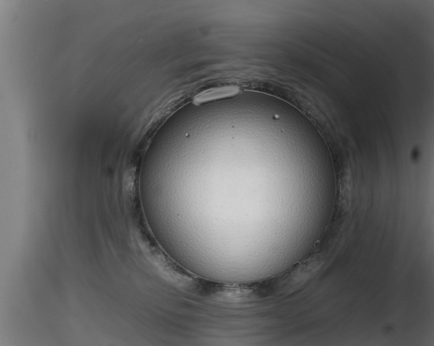 X0000116880278200912291248