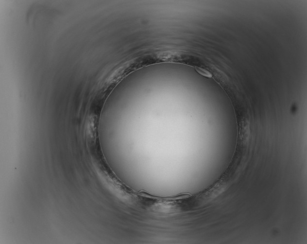 X0000116880280200912291248
