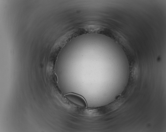 X0000116880283200912291248