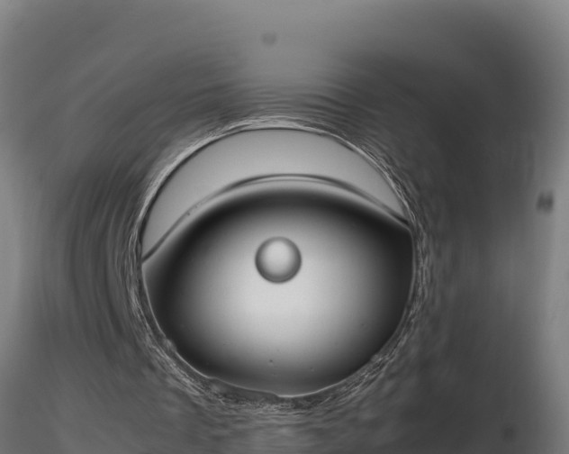X0000116880289200912291248