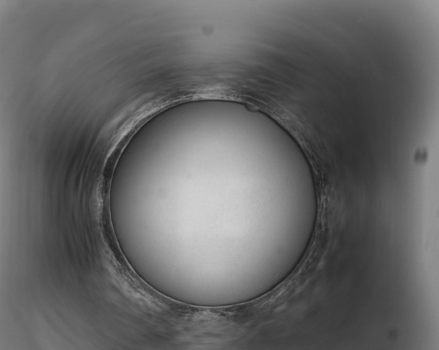 X0000116880290200912291248