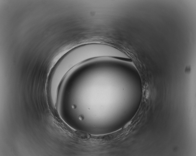 X0000116880292200912291248