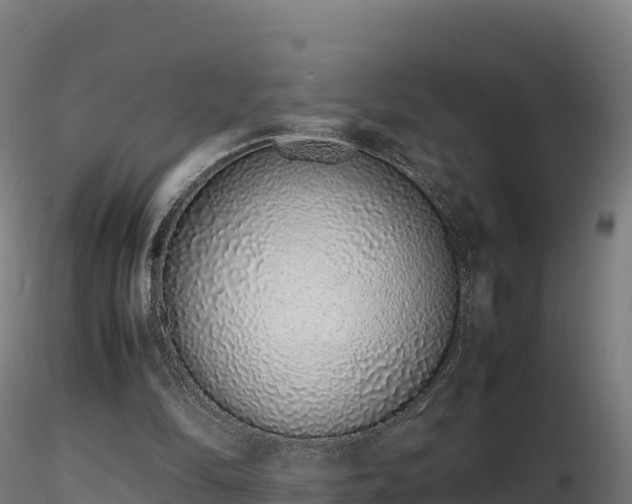 X0000116880294200912291248