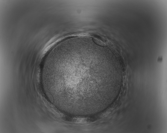X0000116880295200912291248