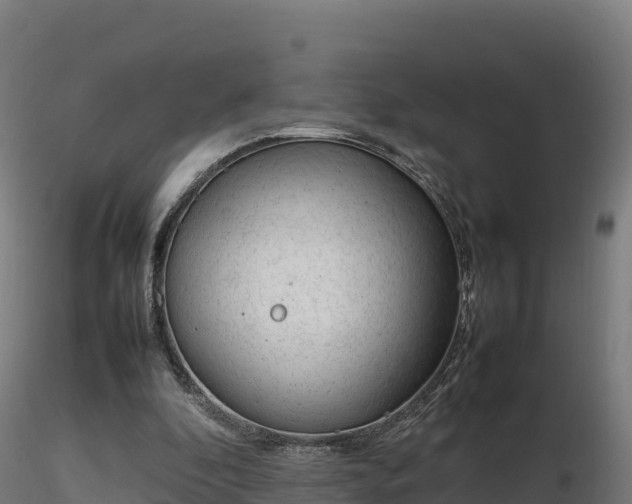 X0000116880296200912291248