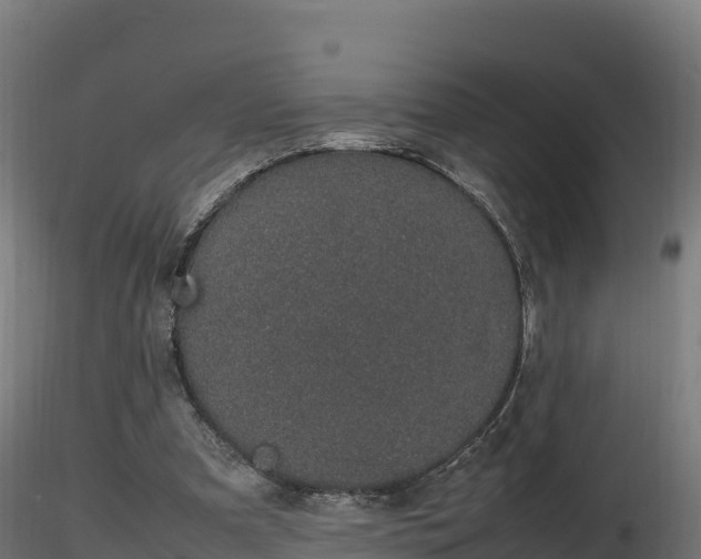 X0000116880297200912291248