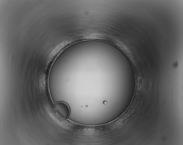 X0000116880298200912291248