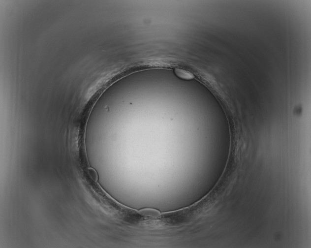 X0000116880299200912291248