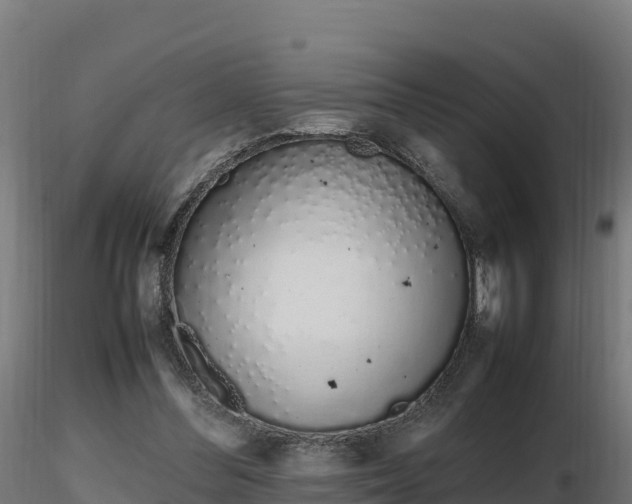 X0000116880300200912291248