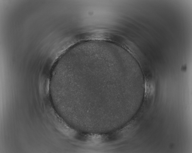 X0000116880301200912291248
