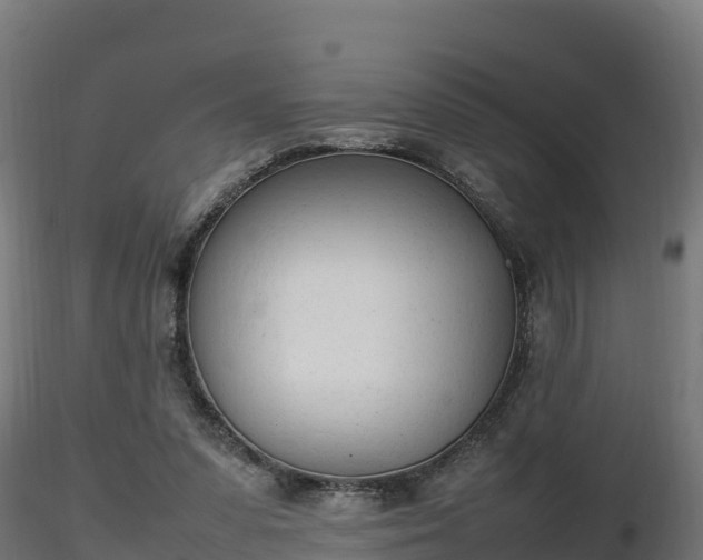 X0000116880303200912291248
