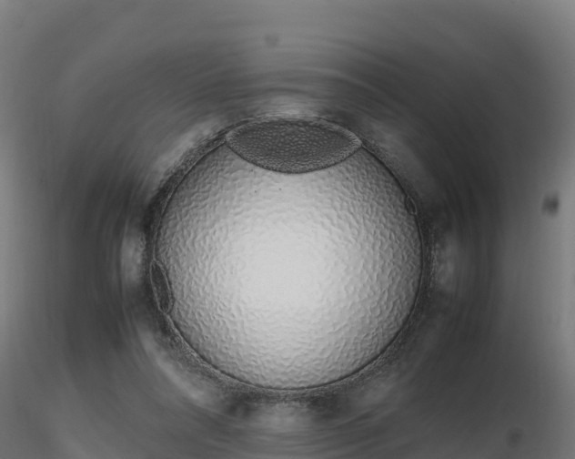 X0000116880304200912291248