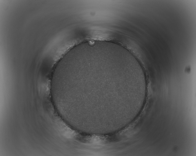 X0000116880305200912291248