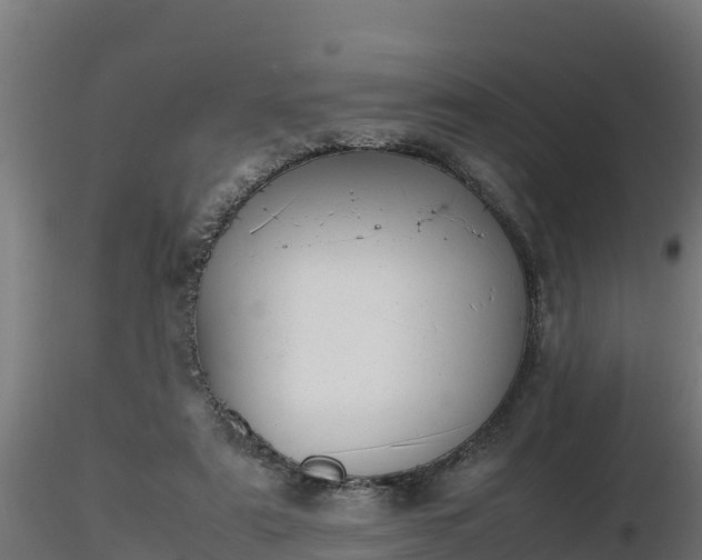 X0000116880307200912291248