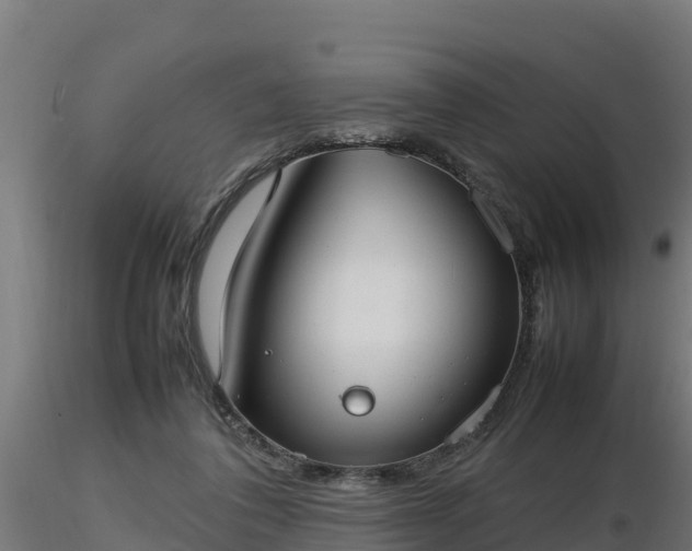 X0000116880308200912291248