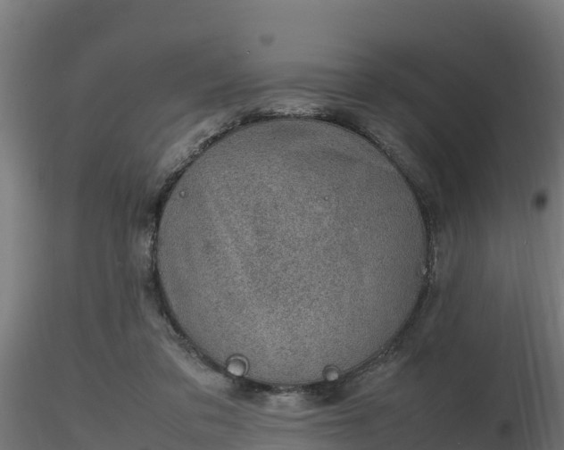 X0000116880309200912291248