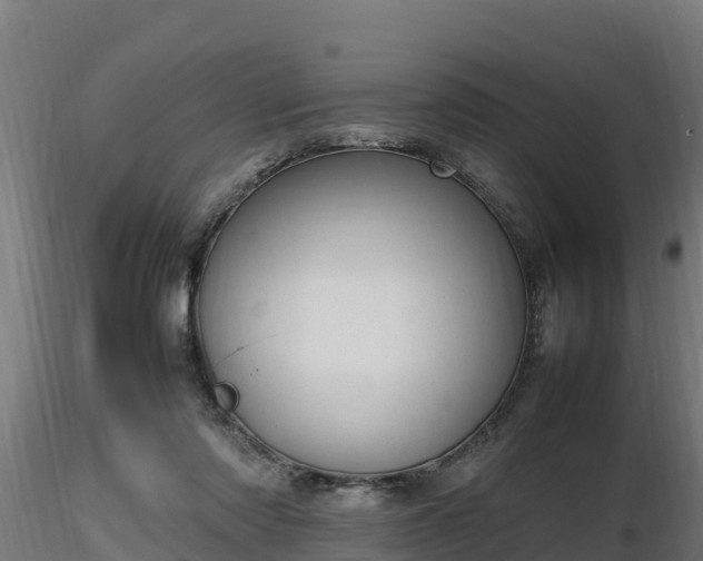 X0000116880310200912291248