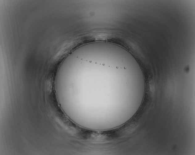 X0000116880311200912291248