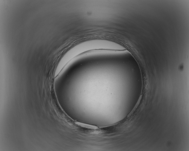 X0000116880313200912291248